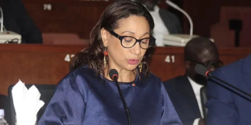 culture-adoption-dun-projet-de-loi-sur-la-protection-du-patrimoine-culturel-national