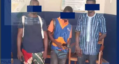 vente-de-puce-non-identifiee-12-individus-personnes-arretees-en-possession-de-460-puces