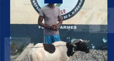 fete-de-la-tabaski-un-voleur-de-mouton-arrete