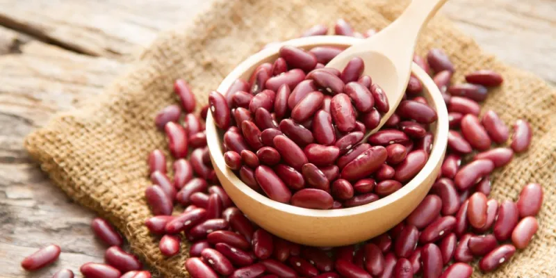 astuces-sante-tout-savoir-sur-le-haricot-rouge-partie-1