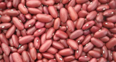 astuces-sante-tout-savoir-sur-le-haricot-rouge-partie-2