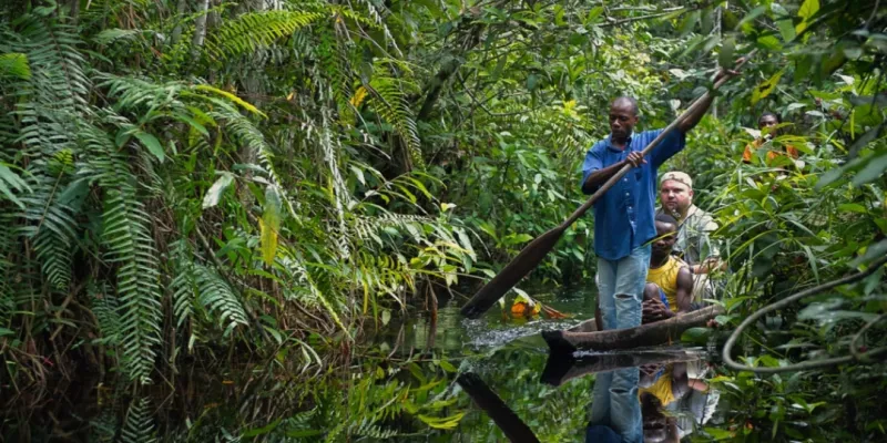 tourisme-dou-vient-la-celebrite-du-parc-de-tai