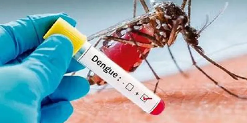 sante-publique-351-cas-suspects-de-dengue-dont-31-confirmes-dans-le-district-dabidjan