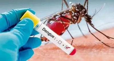 cote-divoire-73-cas-de-dengue-confirmes-dont-2-deces-a-abidjan