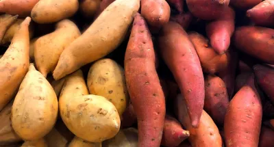 astuces-sante-zoom-sur-les-bienfaits-de-la-patate-douce-partie-2