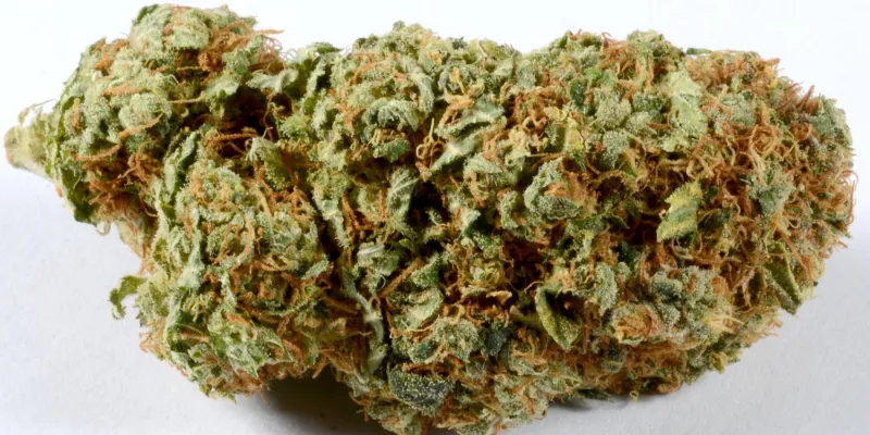 sierra-leone-le-kush-la-drogue-synthetique-qui-fait-des-ravages-parmi-les-jeunes