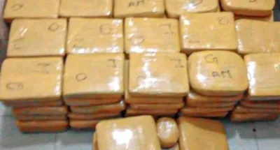 operation-vacances-securisees-8-pres-de-30-kilogrammes-de-cannabis-saisis-a-port-bouet