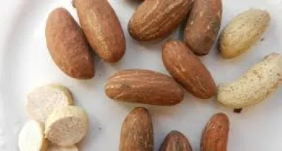 sante-les-bienfaits-du-petit-cola-pour-lhomme