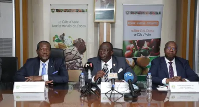 campagne-intermediaire-de-cacao-le-prix-du-kilogramme-maintenu-a-900-fcfa