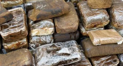 trafic-de-drogue-en-france-pres-de-deux-tonnes-de-resine-de-cannabis-dune-valeur-de-revente-de-6-milliards-de-francs-cfa-saisies