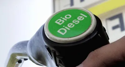 cote-divoire-vers-la-transformation-de-noix-dhevea-en-diesel-renouvelable
