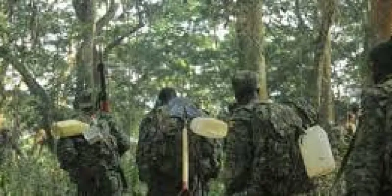 ouganda-neutralisation-dun-commando-adf-a-lorigine-de-lattaque-contre-des-touristes