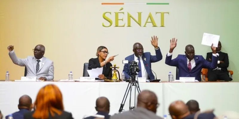 affaires-etrangeres-le-senat-adopte-la-loi-portant-statut-du-corps-diplomatique