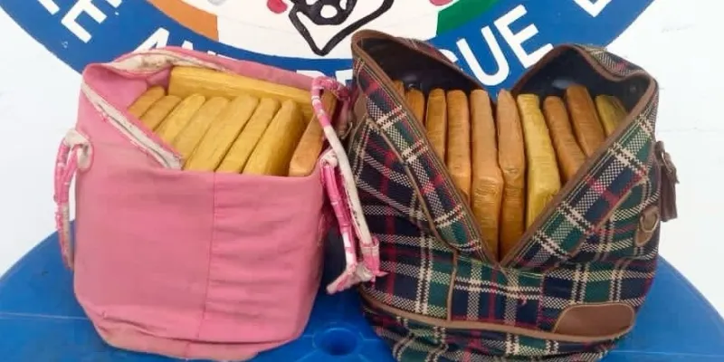 trafic-de-drogue-20-blocs-de-cannabis-saisis-a-bouake-dans-un-car-en-partance-pour-tingrela