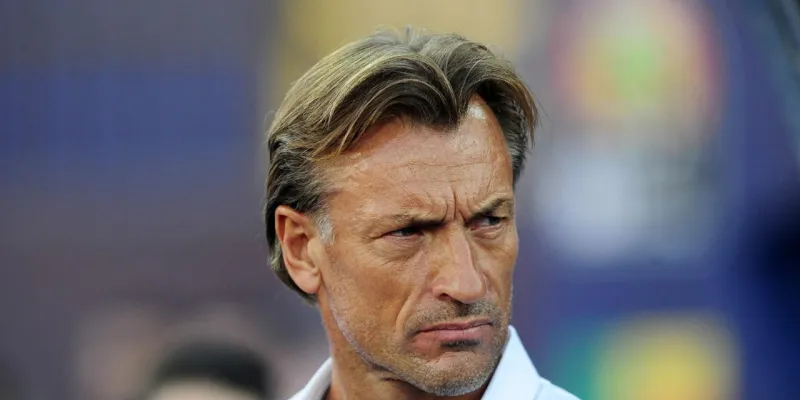 encadrement-technique-des-elephants-renard-ou-les-coulisses-dune-negociation-ratee-avec-les-ivoiriens