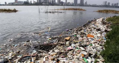 cote-divoire-tout-savoir-sur-la-mort-de-plusieurs-poissons-a-abidjan