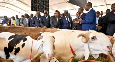 3eme-edition-du-selab-livestock-show-beugre-mambe-incite-les-jeunes-a-sinteresser-a-lelevage