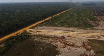 afrique-asie-ou-amerique-lunion-europeenne-interdit-les-produits-issus-de-la-deforestation