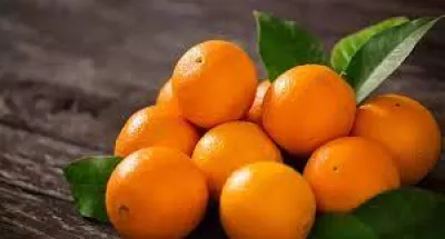 nutrition-de-bonnes-raisons-de-consommer-lorange