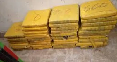 trafic-drogue-les-douaniers-daboisso-saisissent-77-plaquettes-de-cannabis