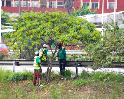 photos-journee-mondiale-de-lenvironnement