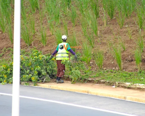 photos-journee-mondiale-de-lenvironnement