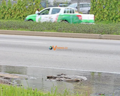 photos-journee-mondiale-de-lenvironnement