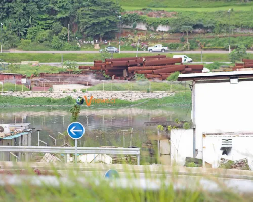 photos-journee-mondiale-de-lenvironnement