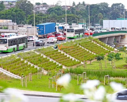 photos-journee-mondiale-de-lenvironnement
