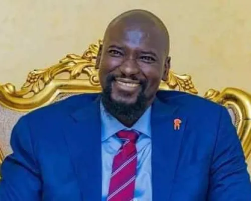 Guinée, Doumbouya Mamadi, investisseurs, Alpha Condé 